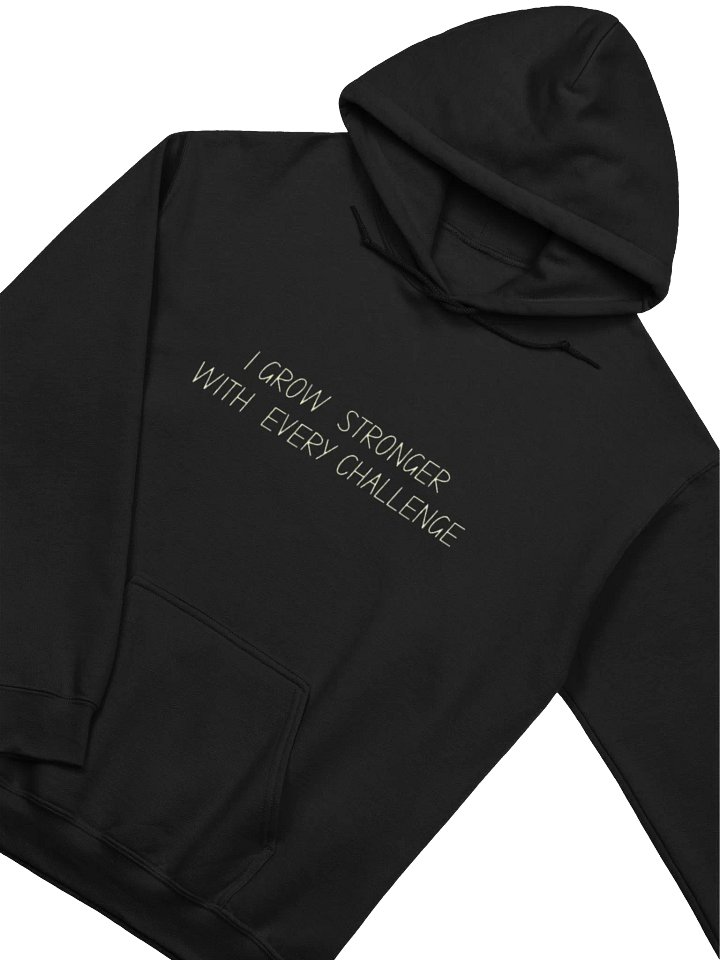Minimalist Hoodie- Black product image (2)