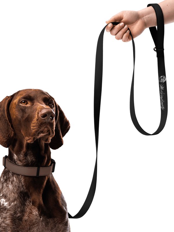N.U.E. Signature Pet Leash product image (1)