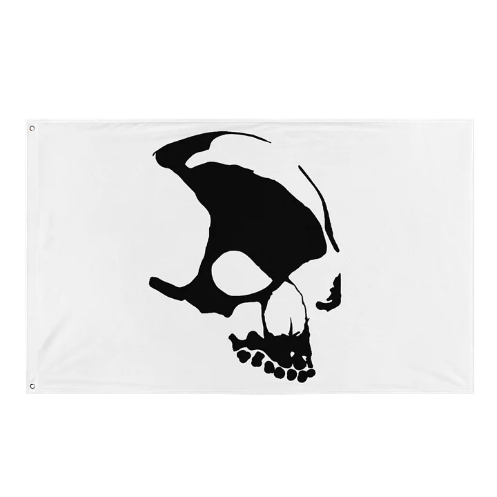 Armada Skull All-White Flag product image (1)
