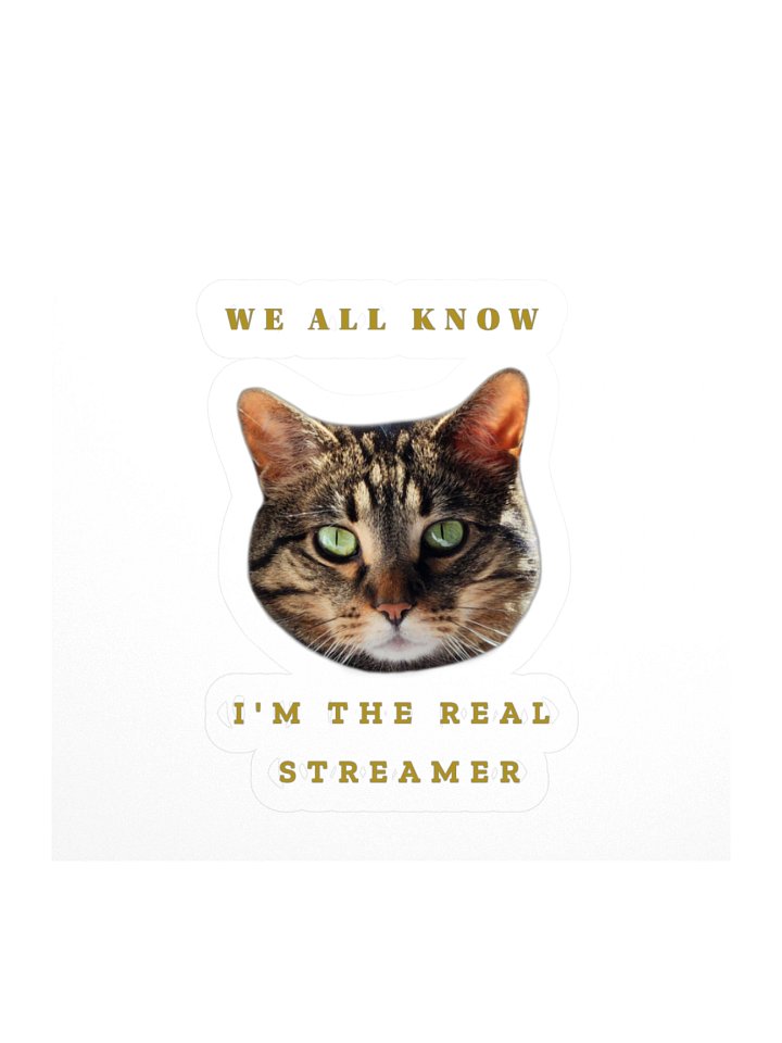 The Real Streamer Sticker product image (1)