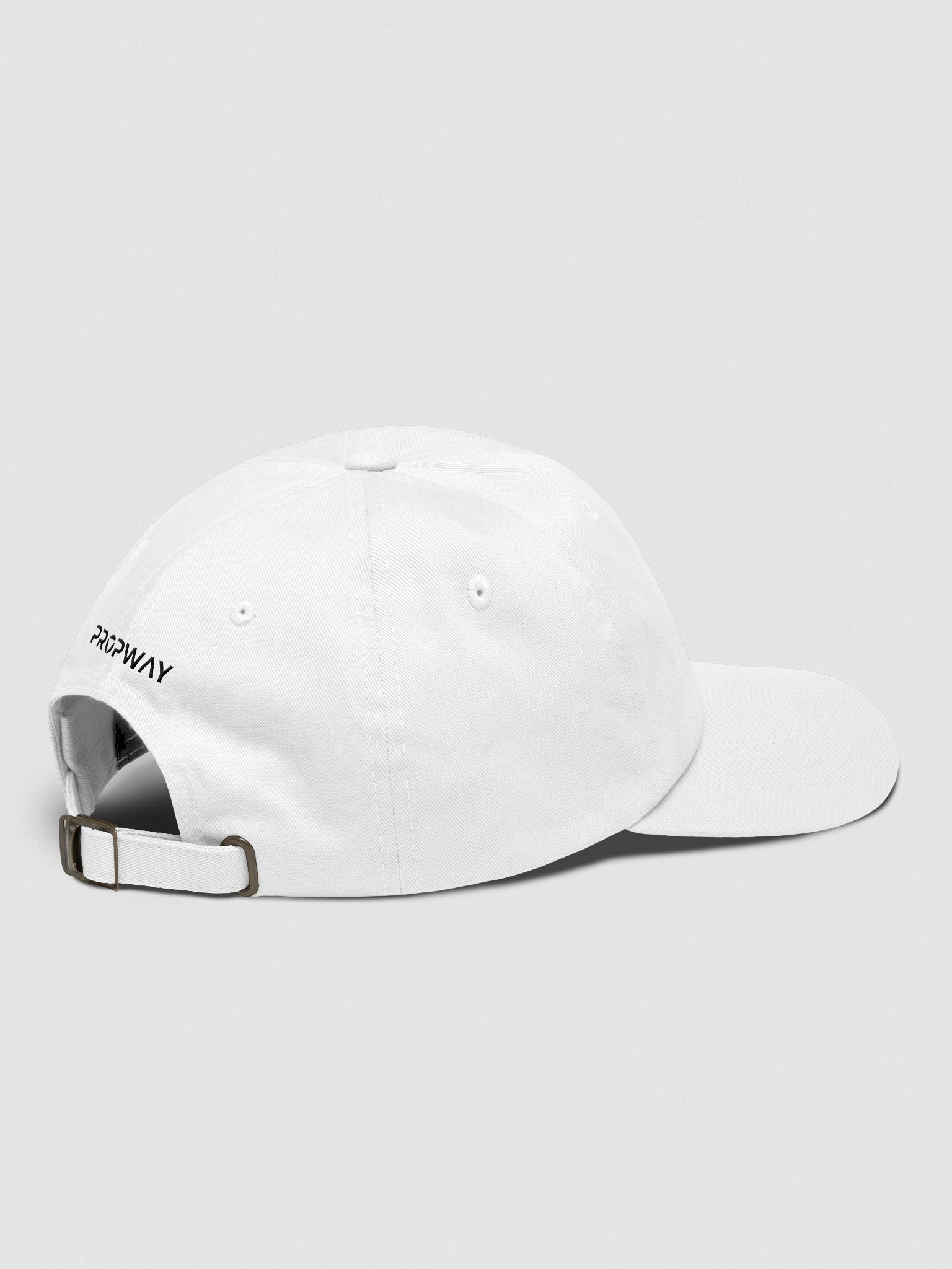 PropWay Hat - Light product image (4)