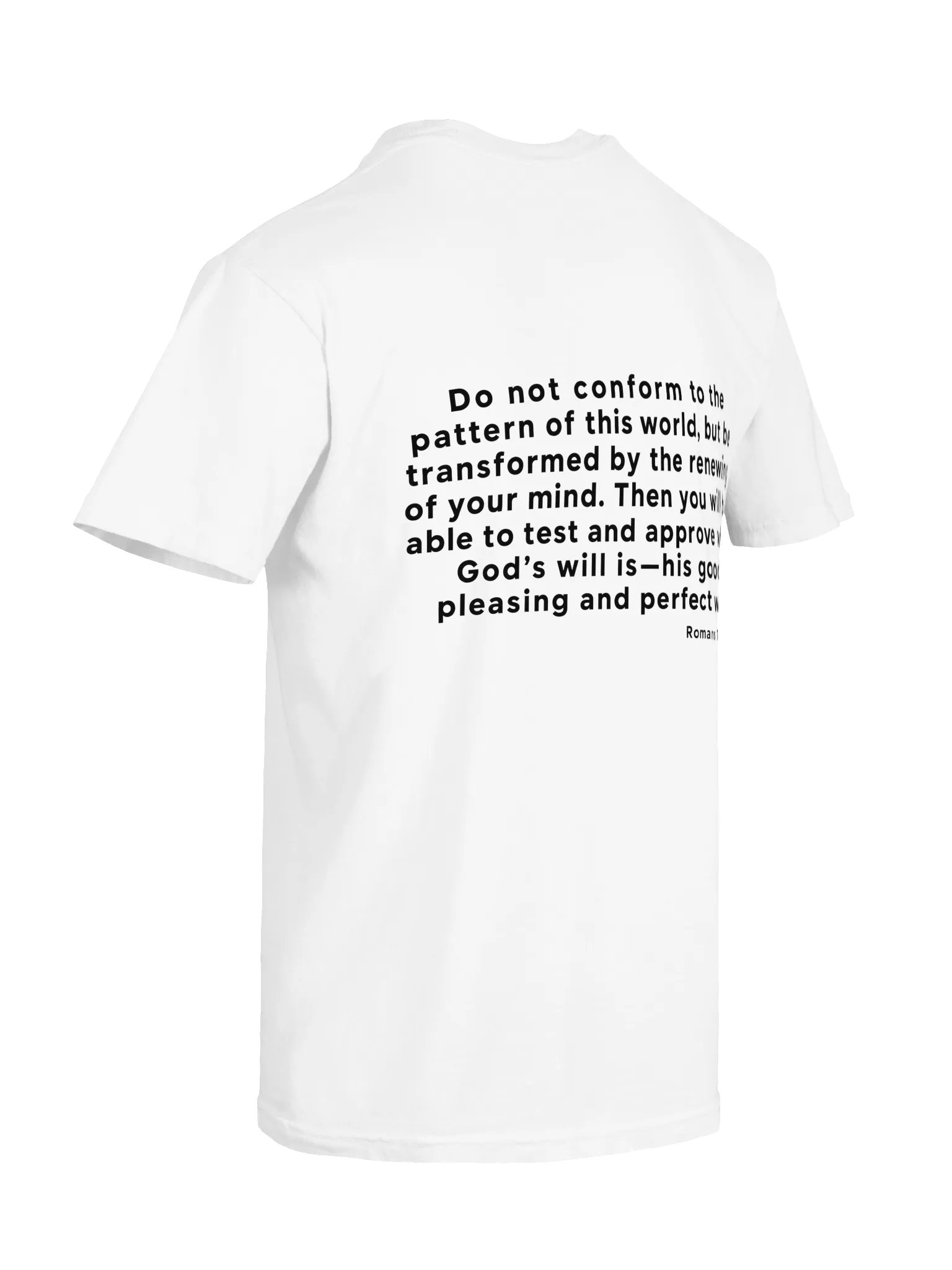 Biblical Truths: White Rebel product image (8)