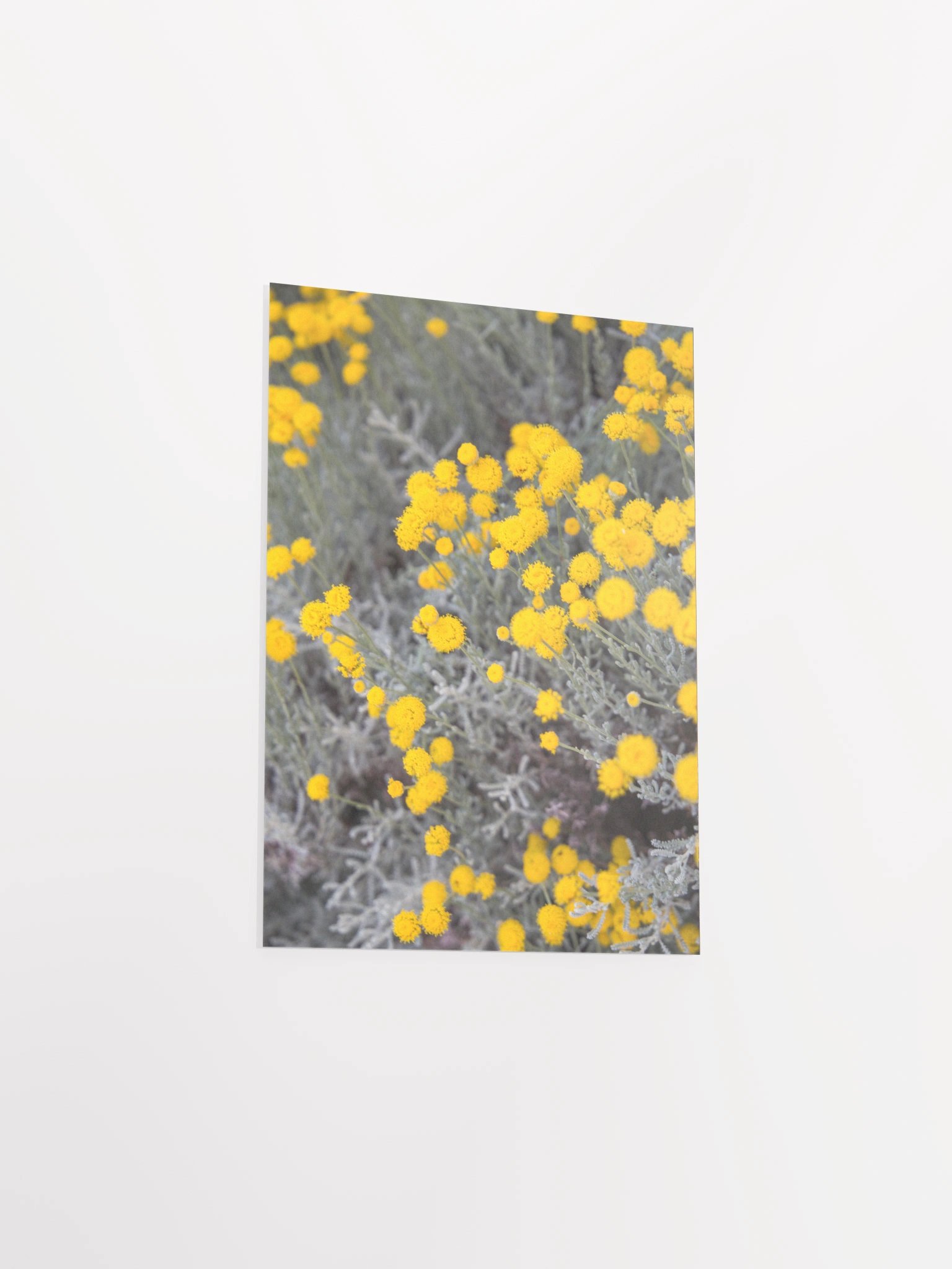 Flores amarillas - Enhanced Matte Paper Poster product image (10)