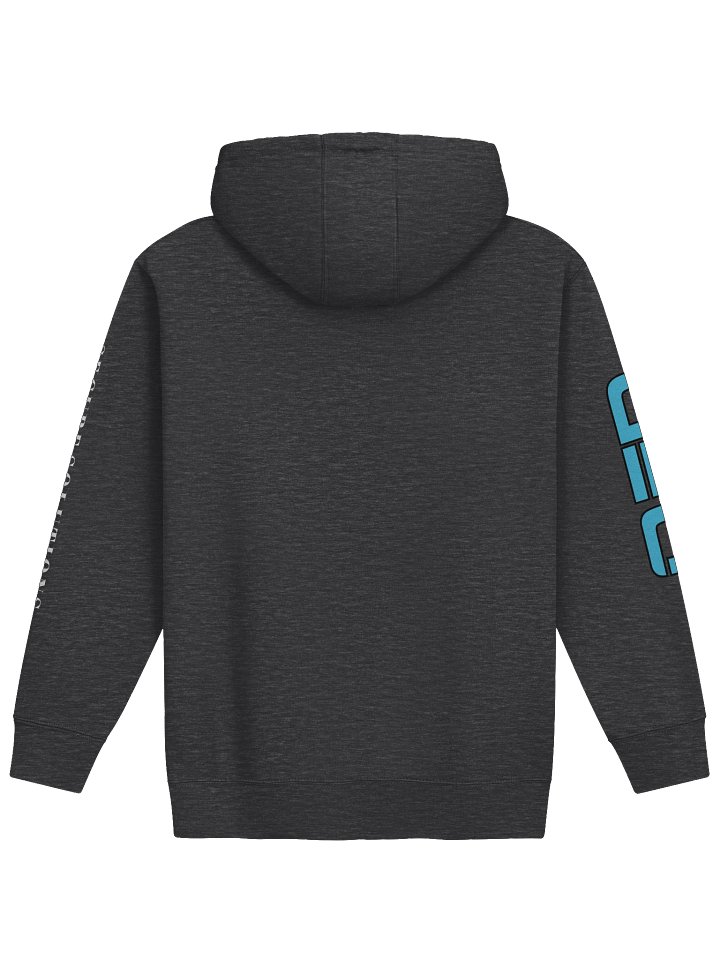 QED Grey Hoodie w/ Logo on Sleeves product image (2)