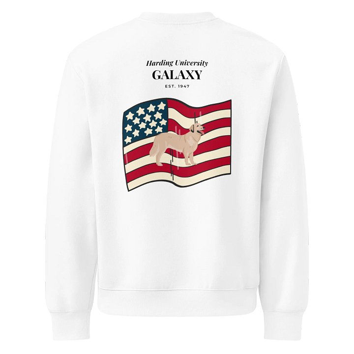 American Flag Sweatshirt product image (2)