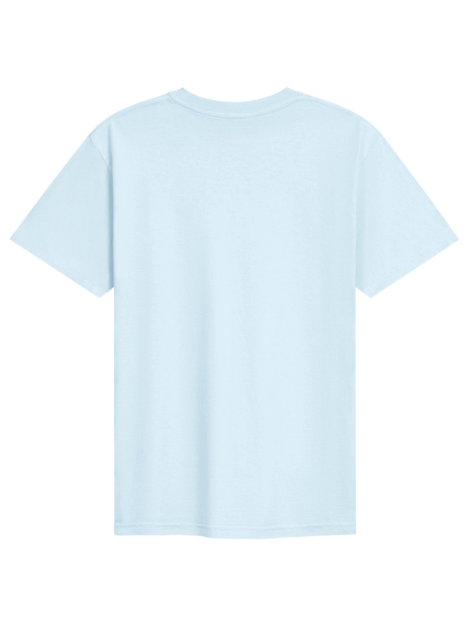 Home of the Lions Tee - Comfort Colors product image (2)