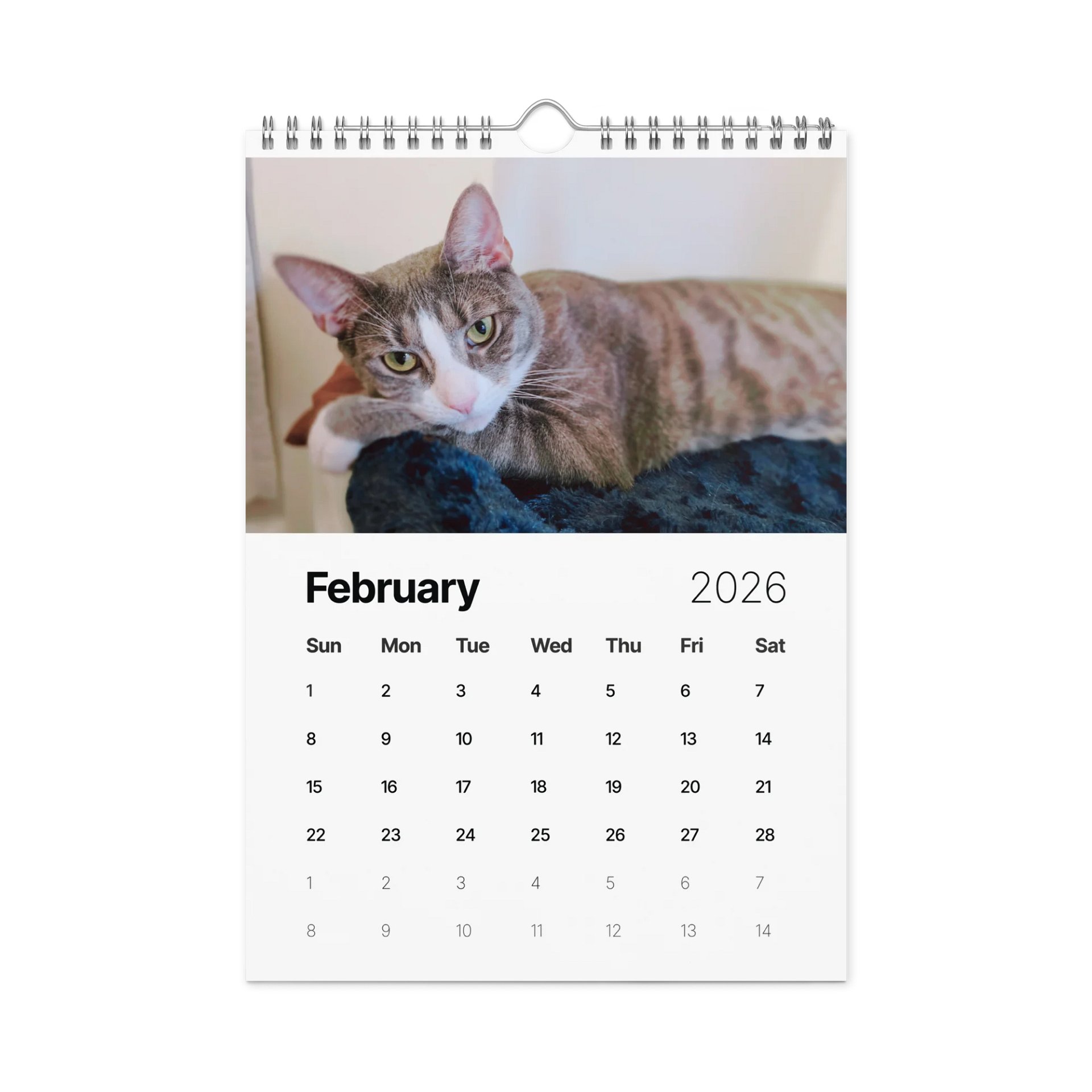 Mei & Mimi 2026 Wall Calendar product image (5)