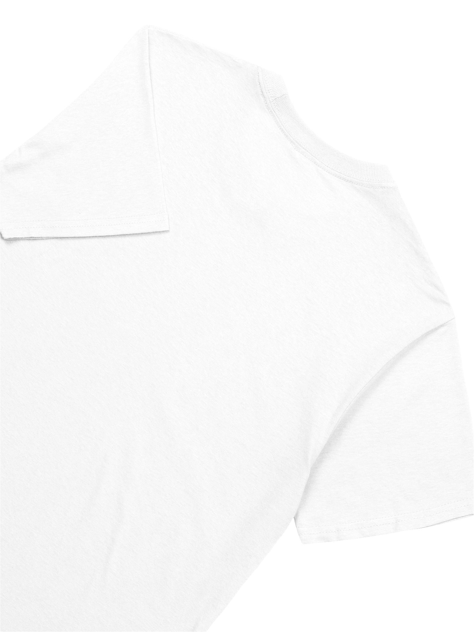 House Raptor product image (8)