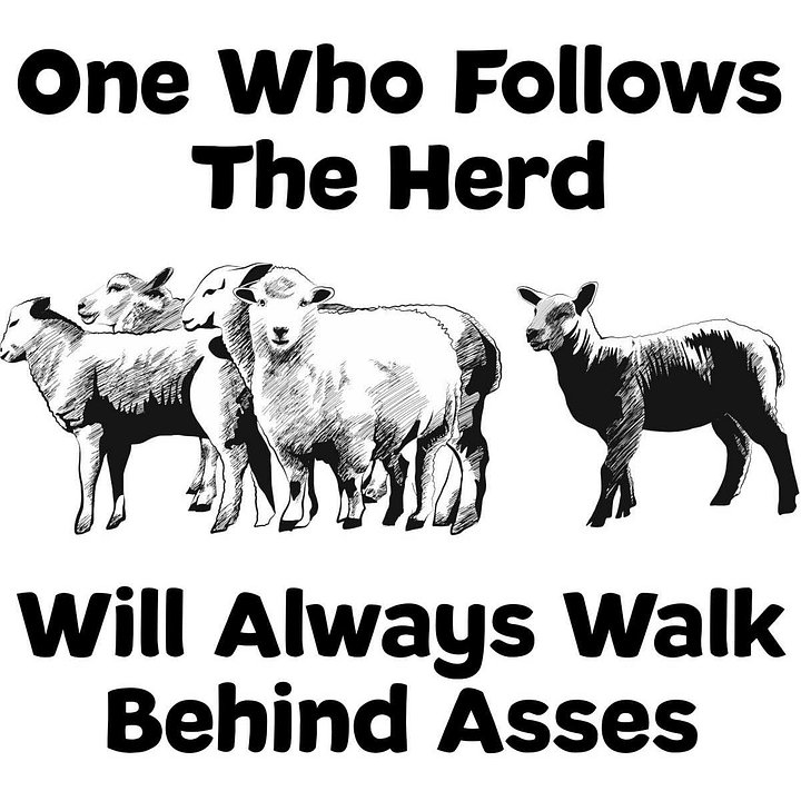 One who follows the herd will always walk behind asses product image (2)