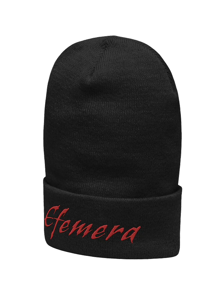 beanie product image (2)