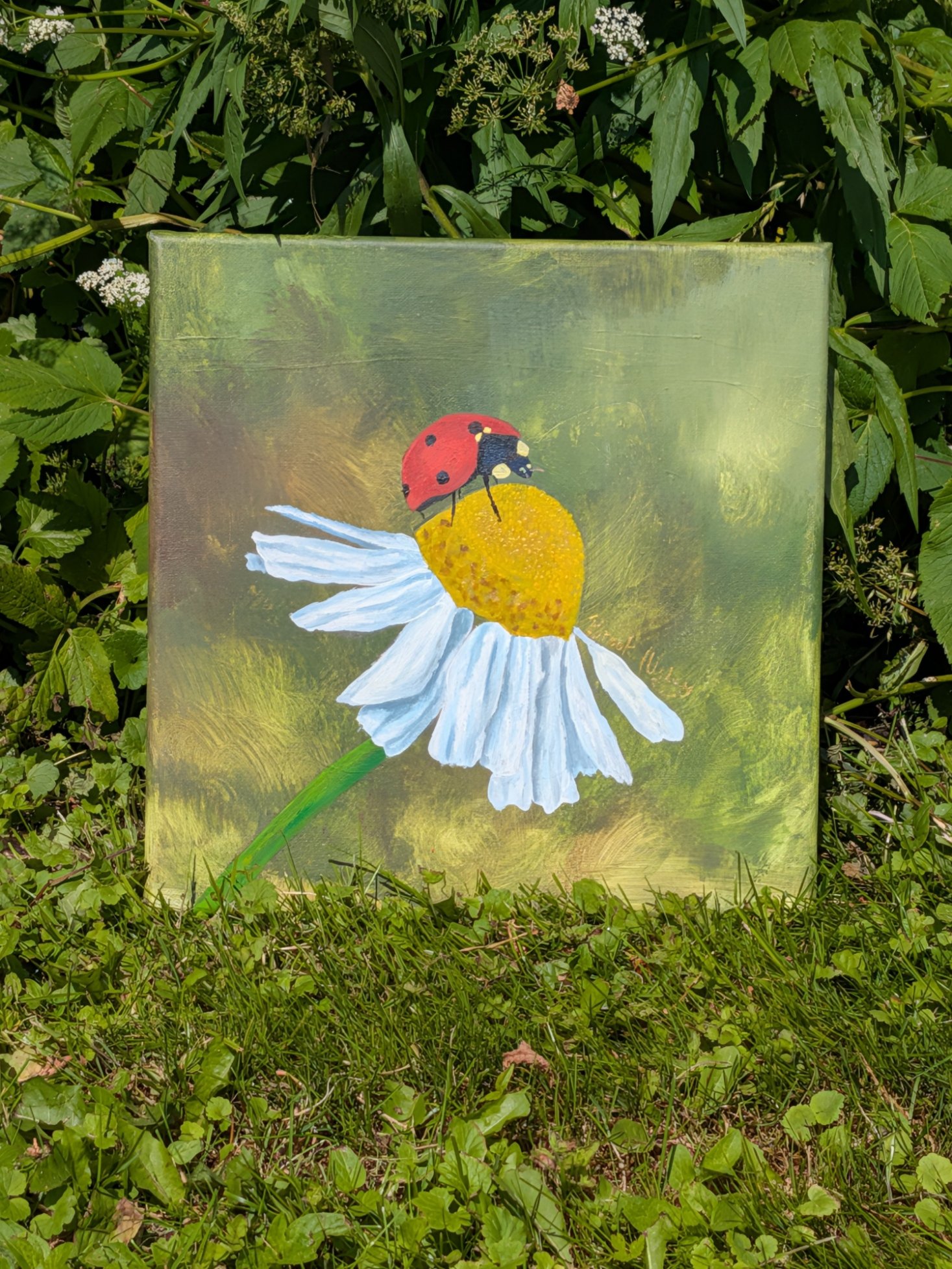 "Little Red Wonder" product image (1)