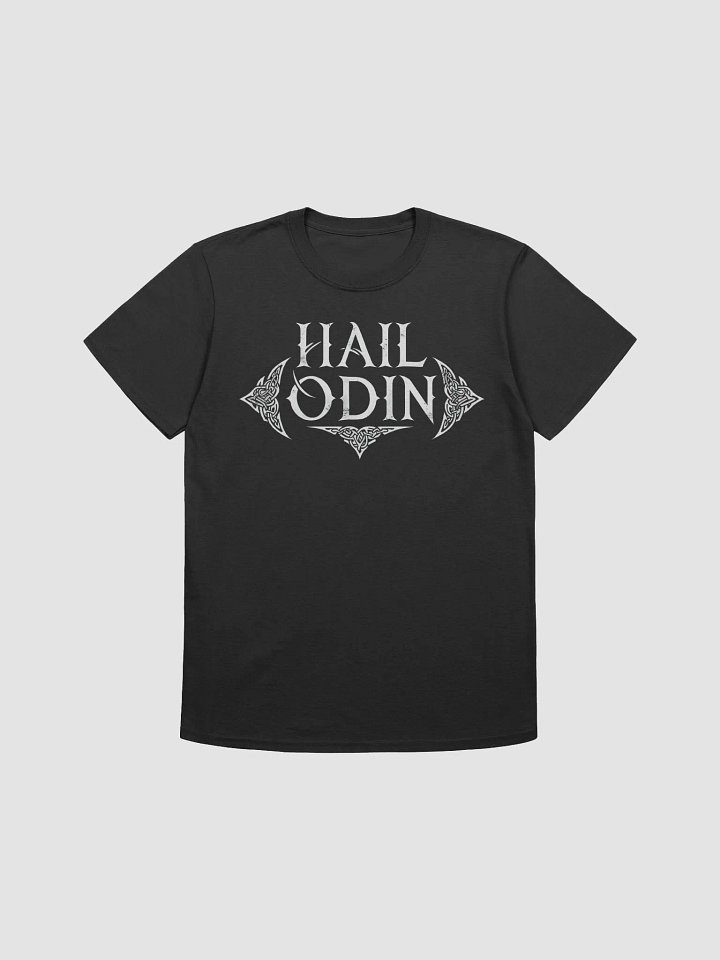 HAil ODIN T2 product image (1)