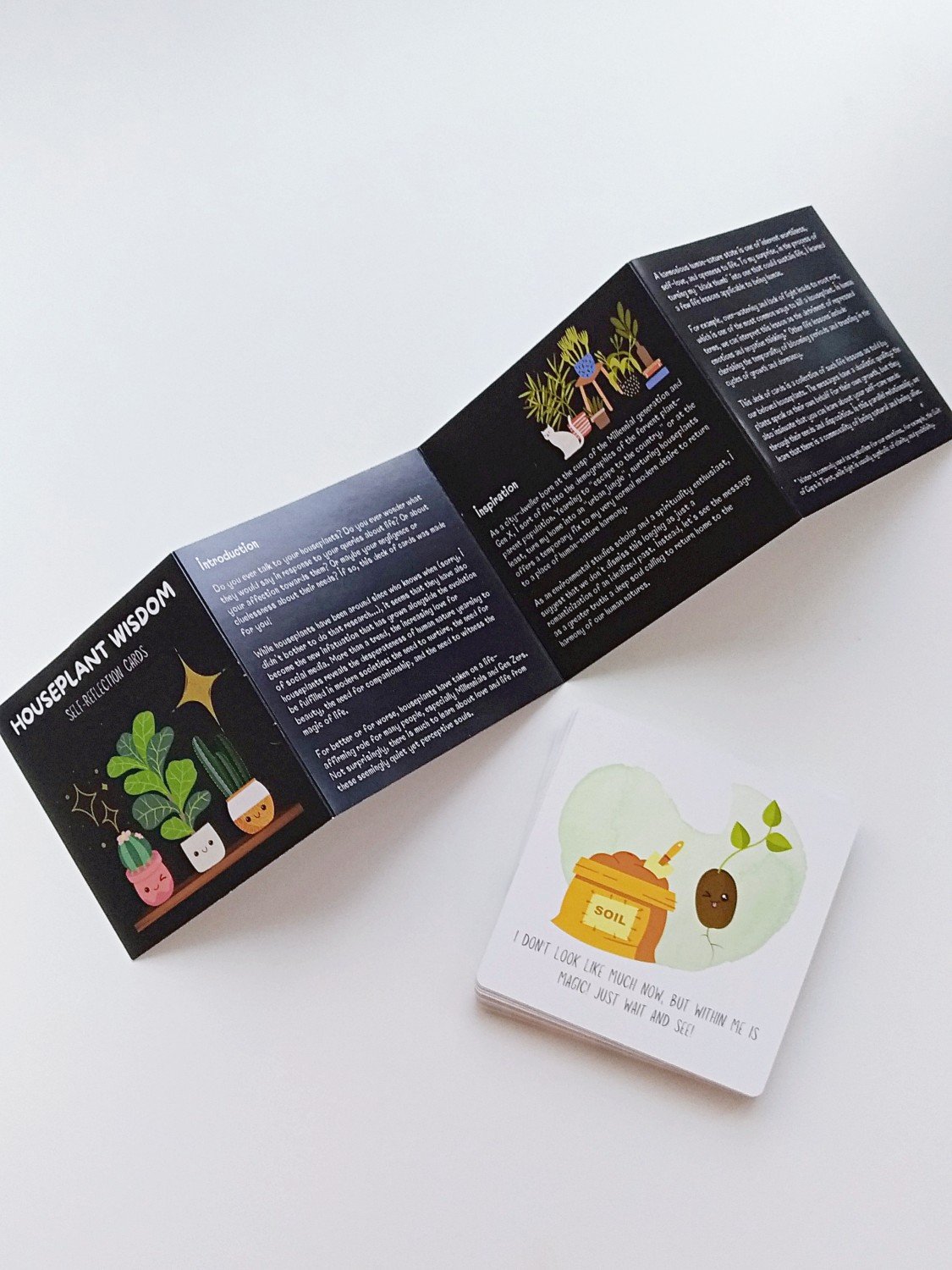 Houseplant Wisdom Self-Reflection Cards product image (3)