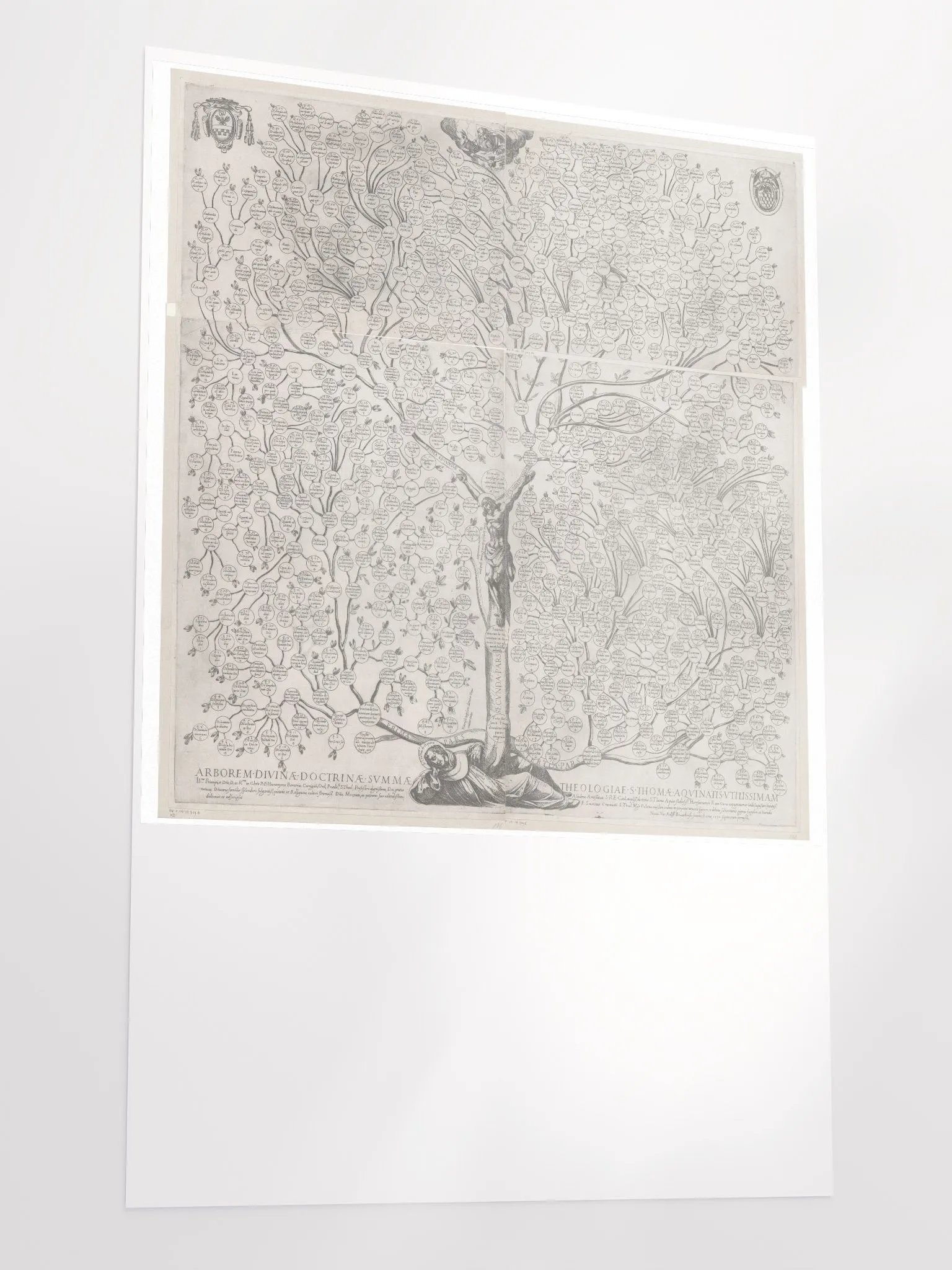 Aquinas Tree product image (3)