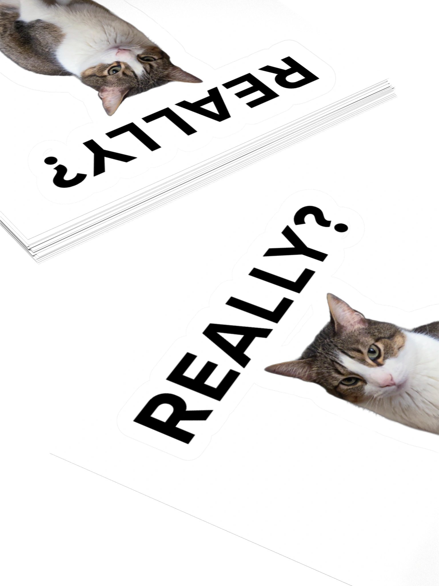 ReAllY?? product image (8)
