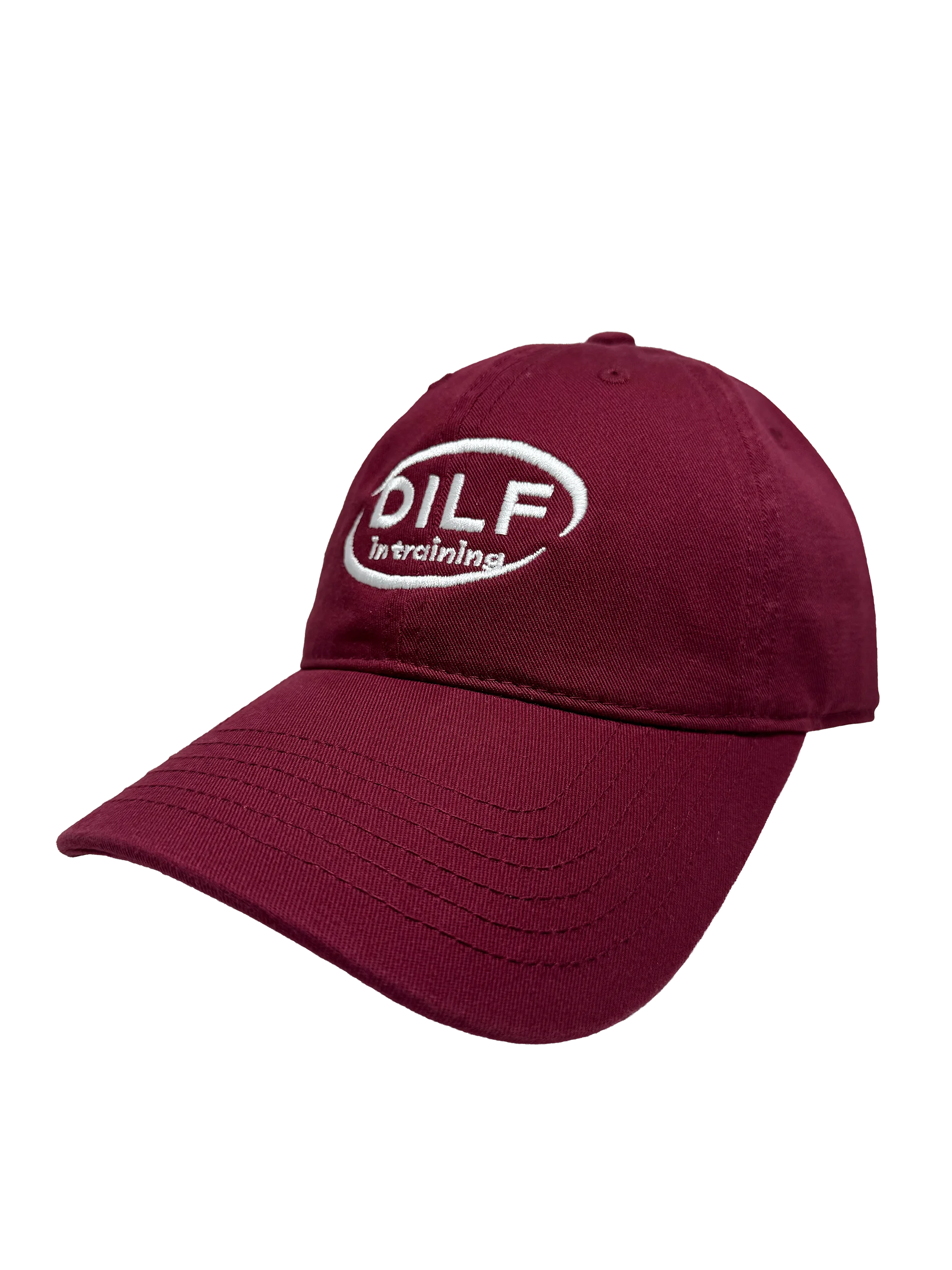 DILF in training Dad Hat product image (2)