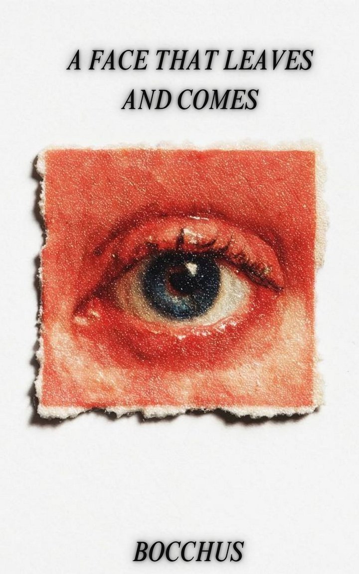 A Face That Leaves and Comes product image (1)