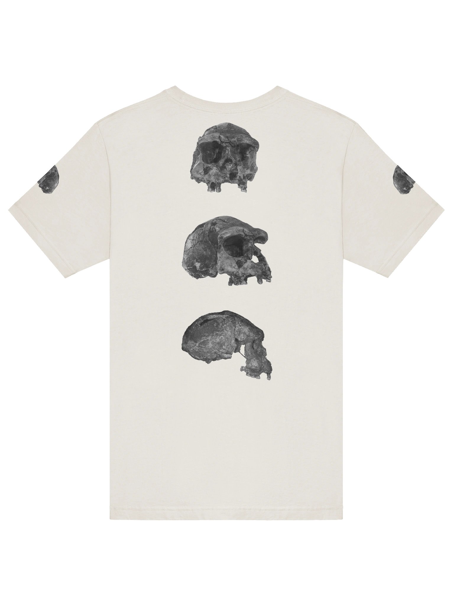 Erectus Fossil Skull T-Shirt Light product image (33)