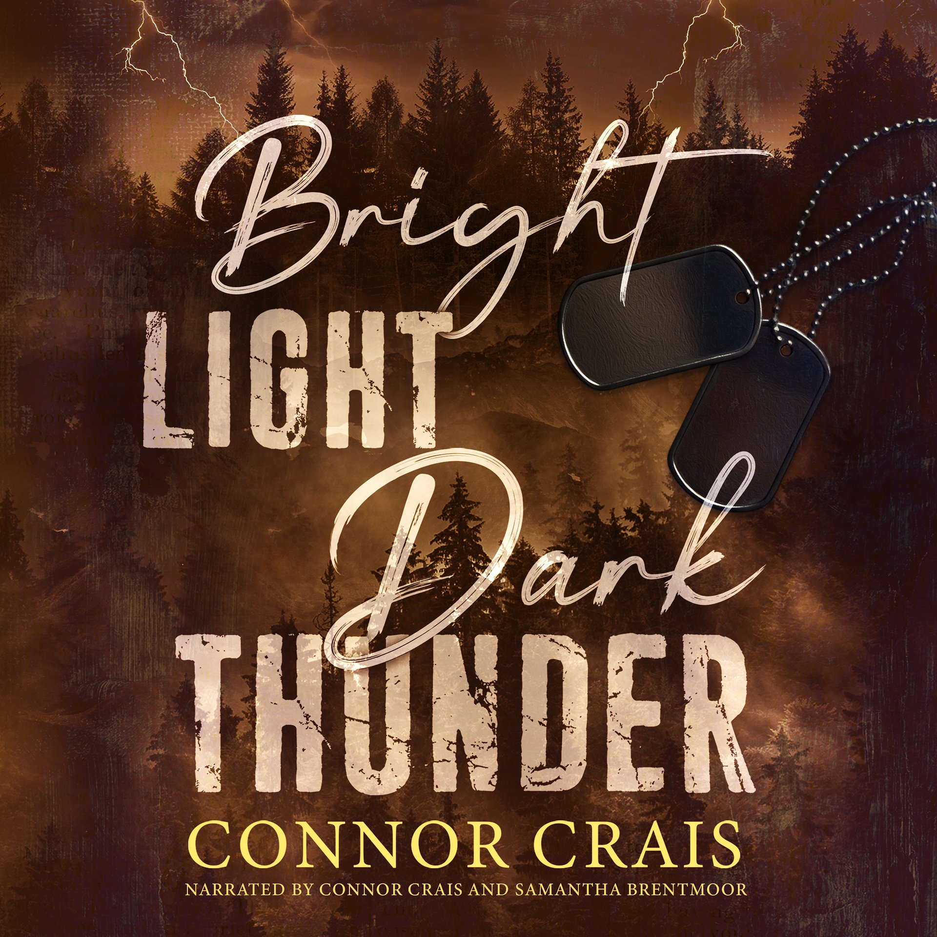 Bright Light Dark Thunder Audiobook product image (1)
