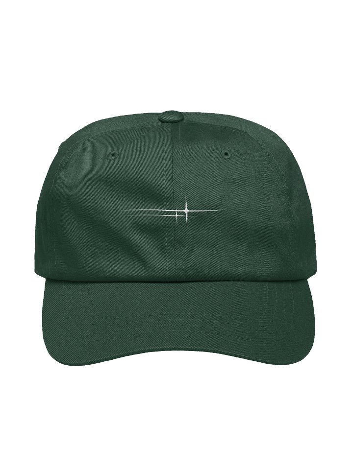 Common Edit (Embroidered logo hat) product image (17)