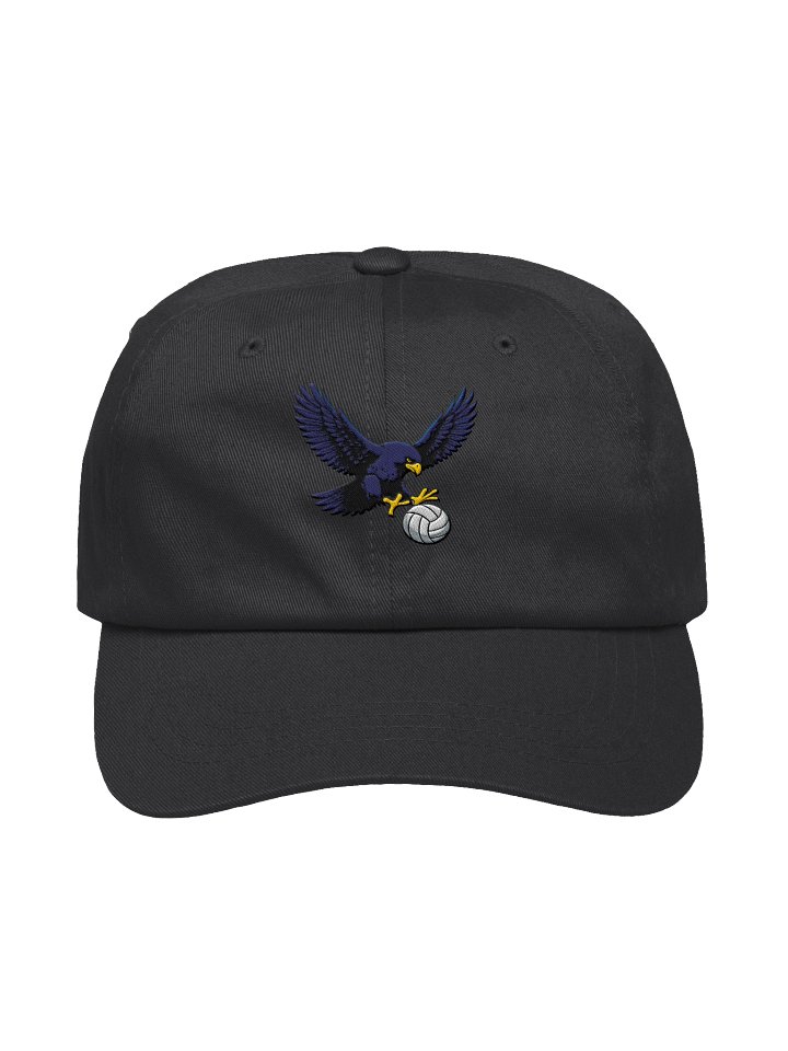 Falcons Volleyball Hat — Embroidered product image (1)