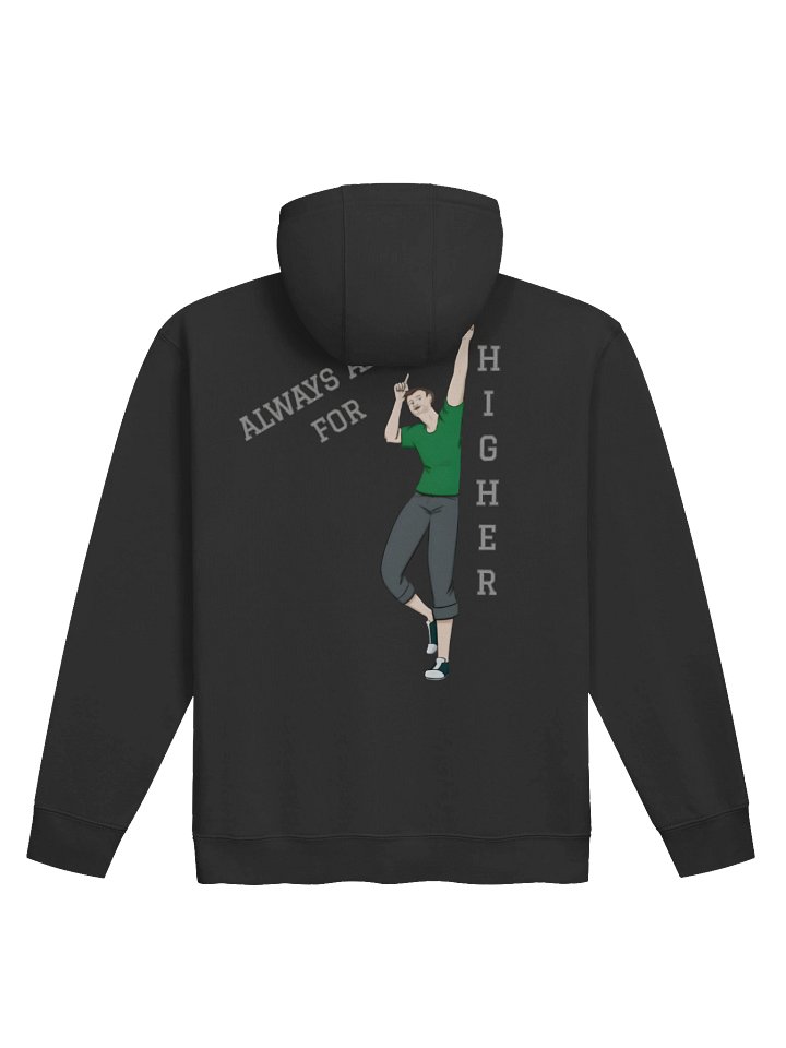 AIFH HOODIE product image (2)