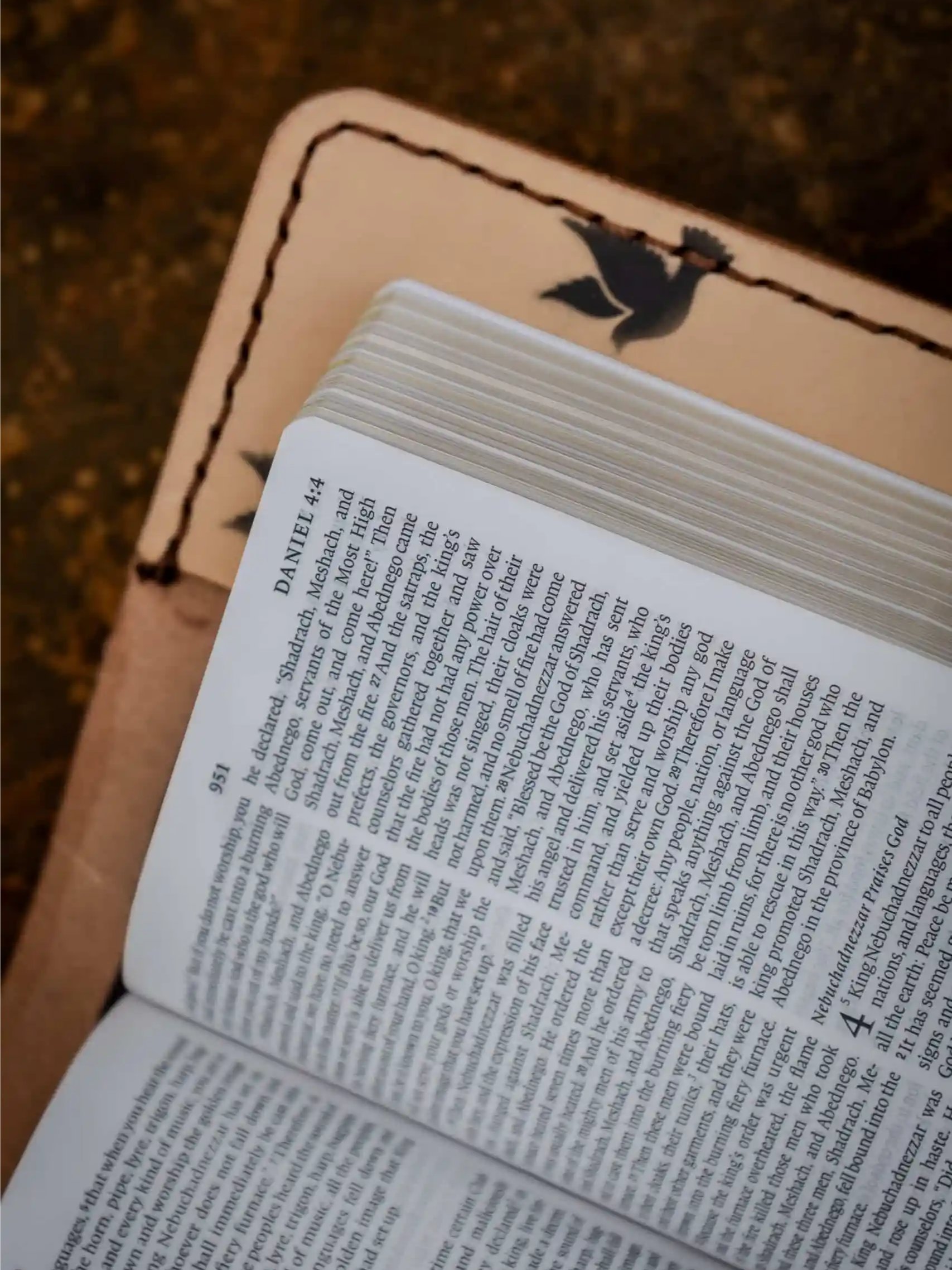 Doves Bible product image (4)