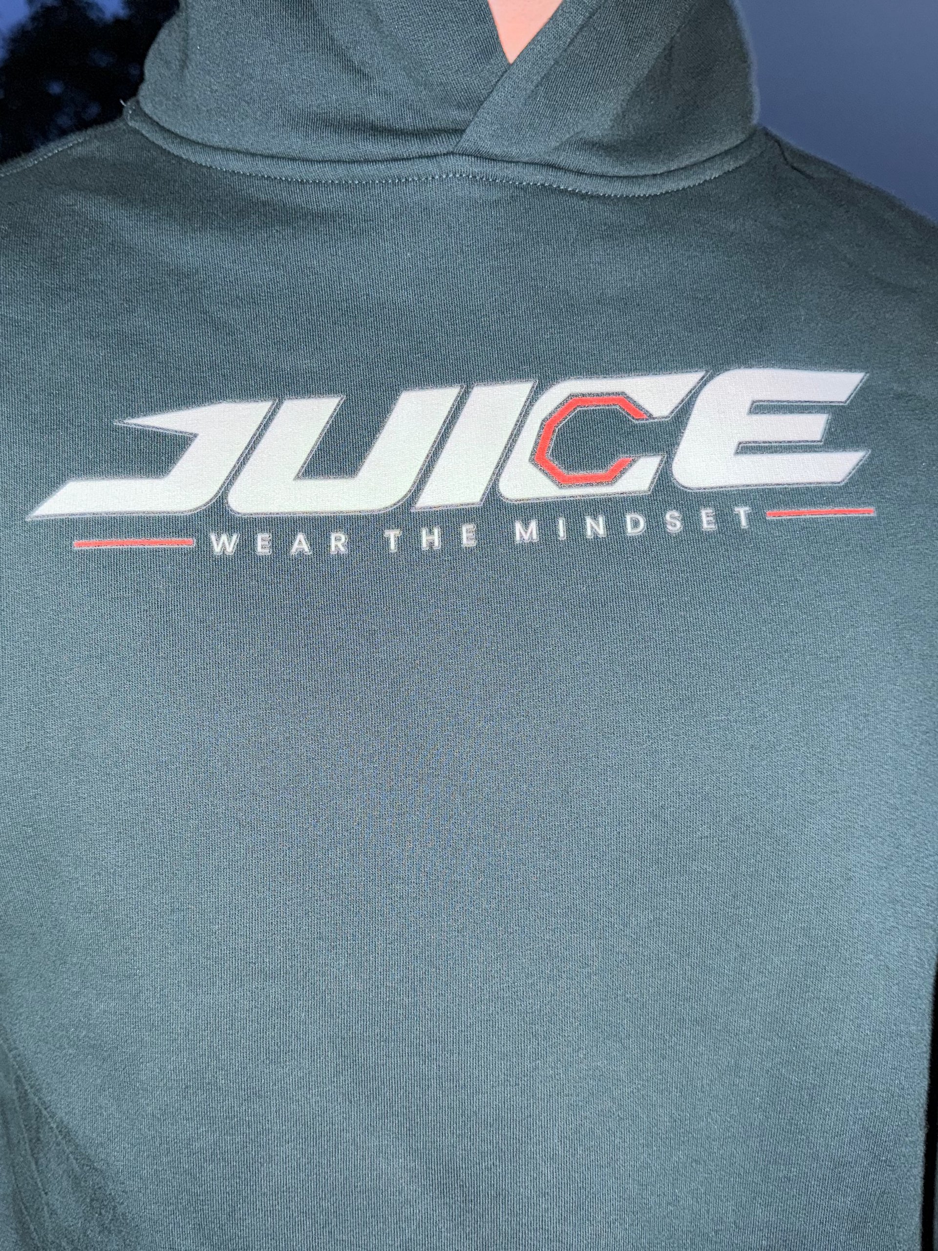 Brand Heavyweight Hoodie product image (2)