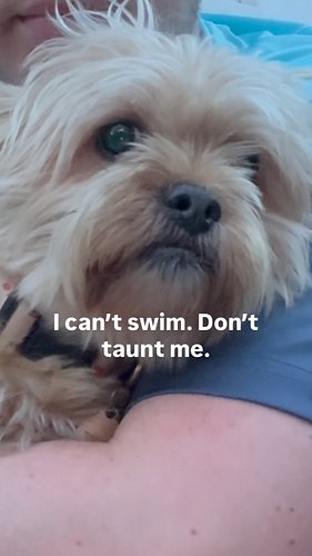 Let’s go swimming with @transform.transwear and talk about life. 

Every time I celebrate a birthday, I get existential. Like...