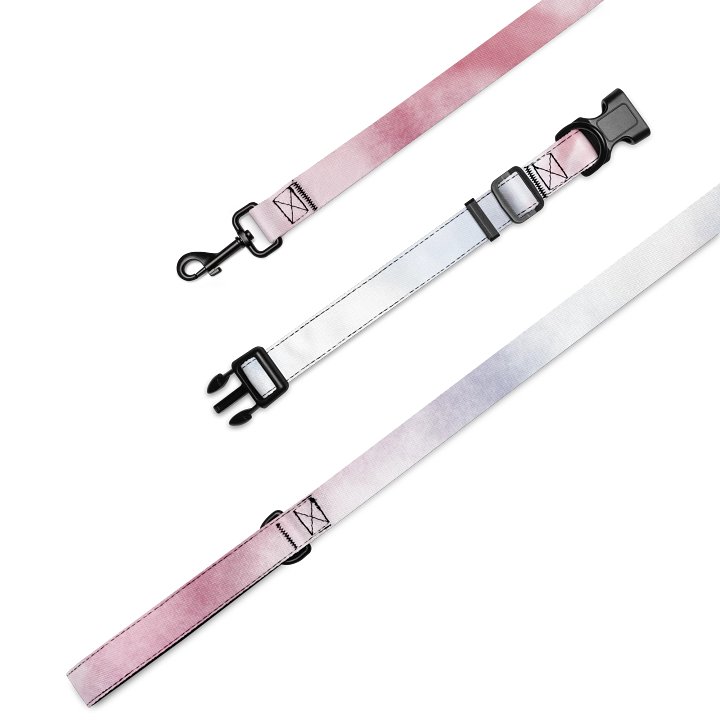 Whimsical Pet Collar & Leash Set product image (1)