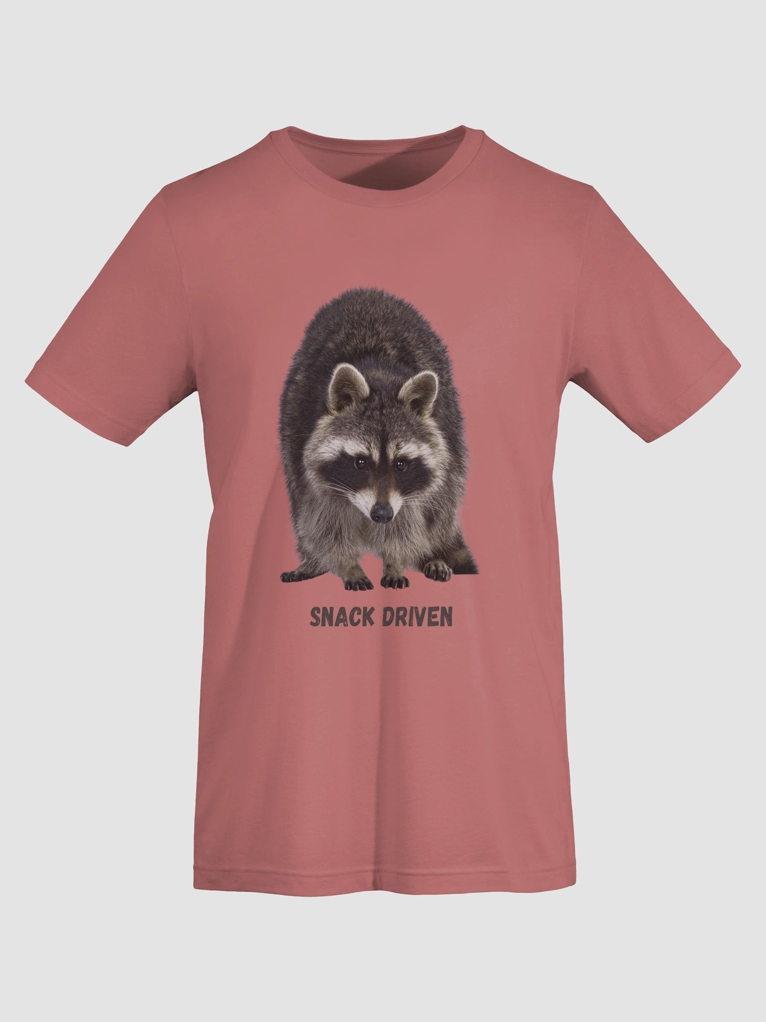 Racoon T-Shirt product image (4)