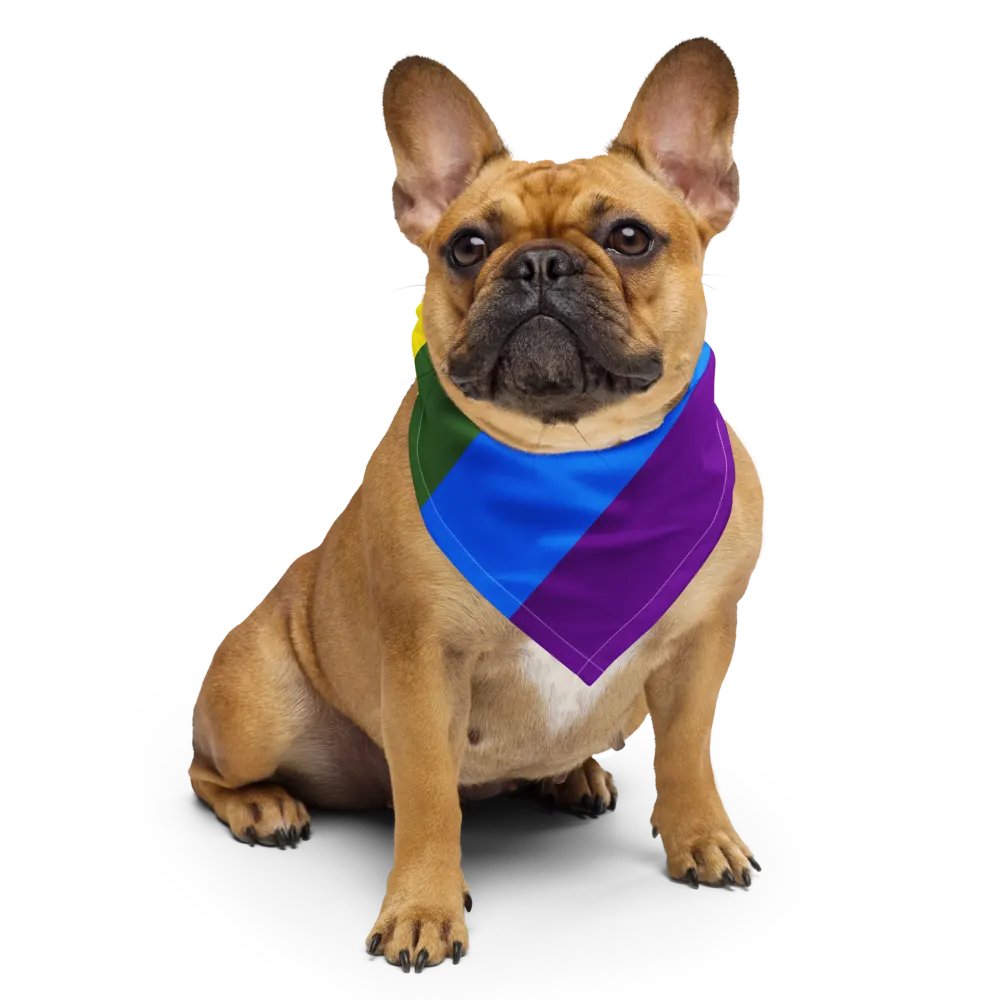 DINK IS ALWAYS RIGHT PRIDE EDITION BANDANA product image (6)