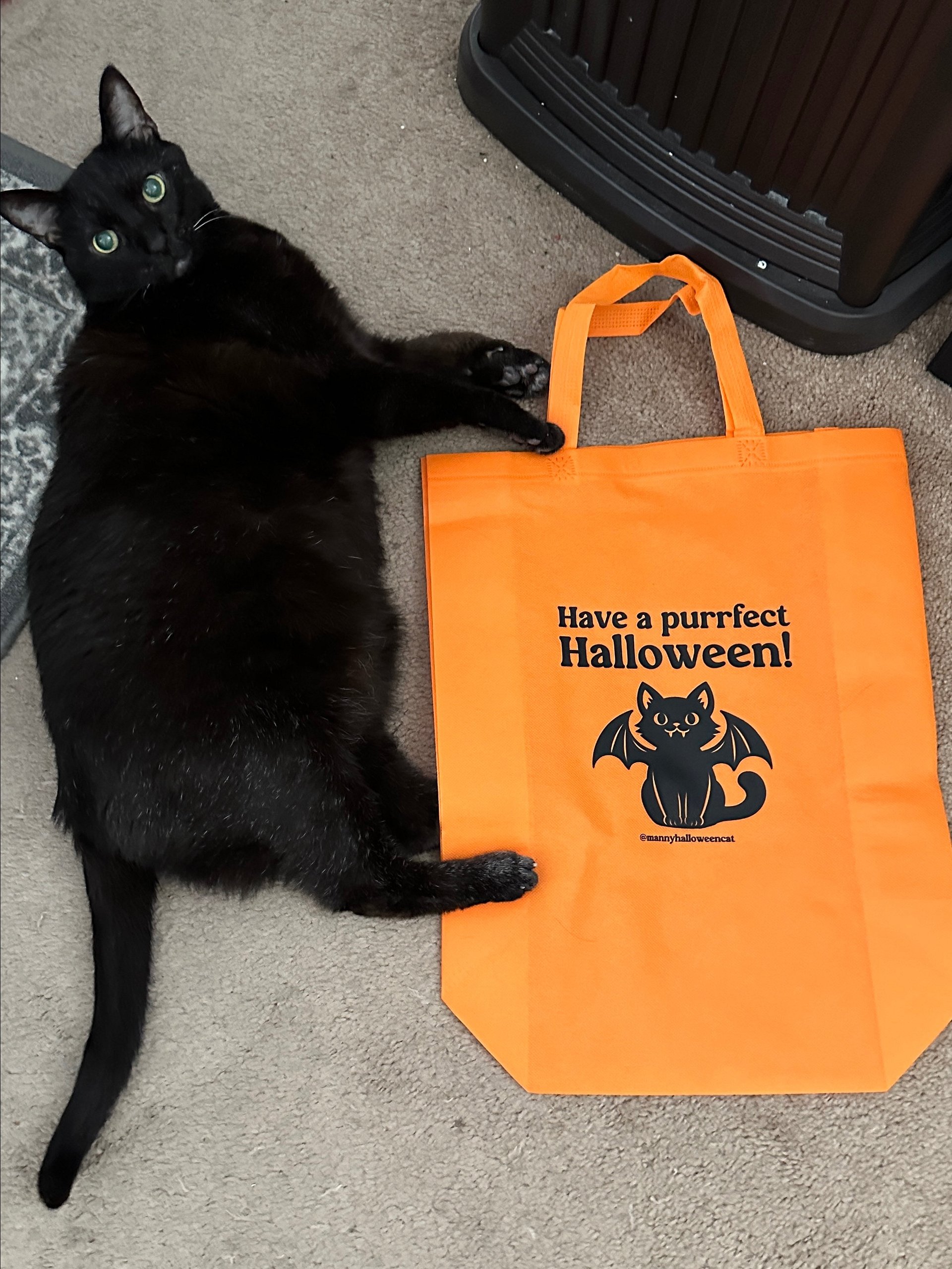 Orange trick-or-treat tote bag product image (3)