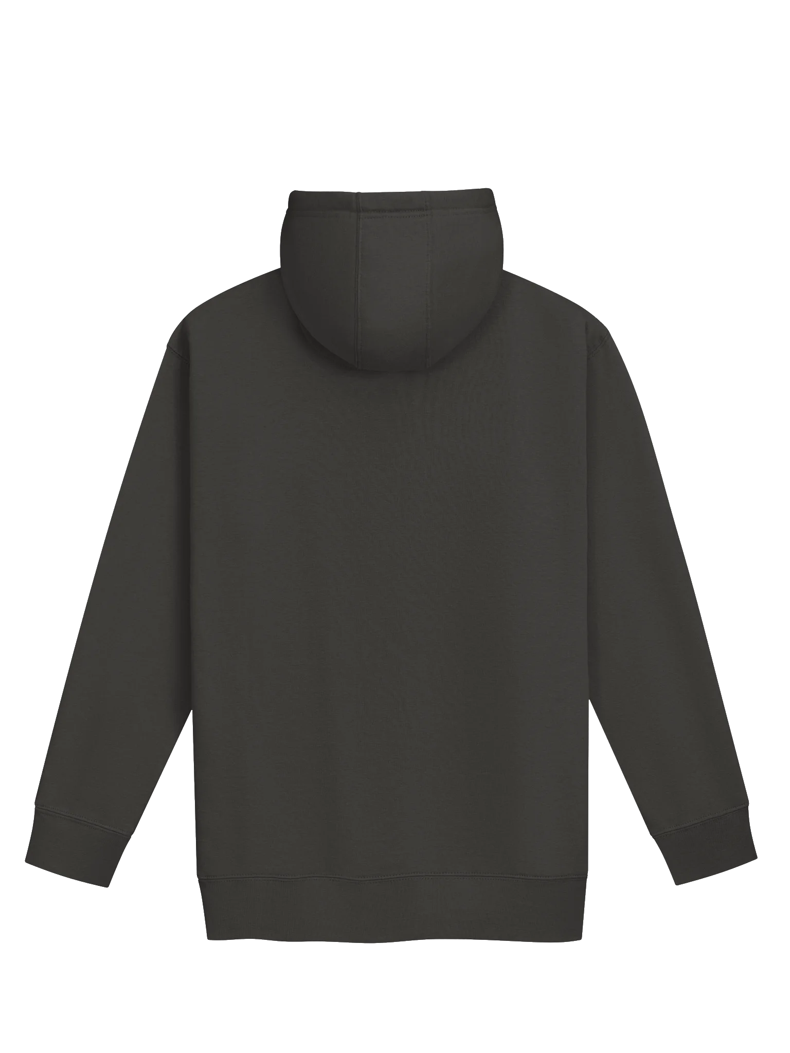 BW Film 100 Hoodie product image (2)
