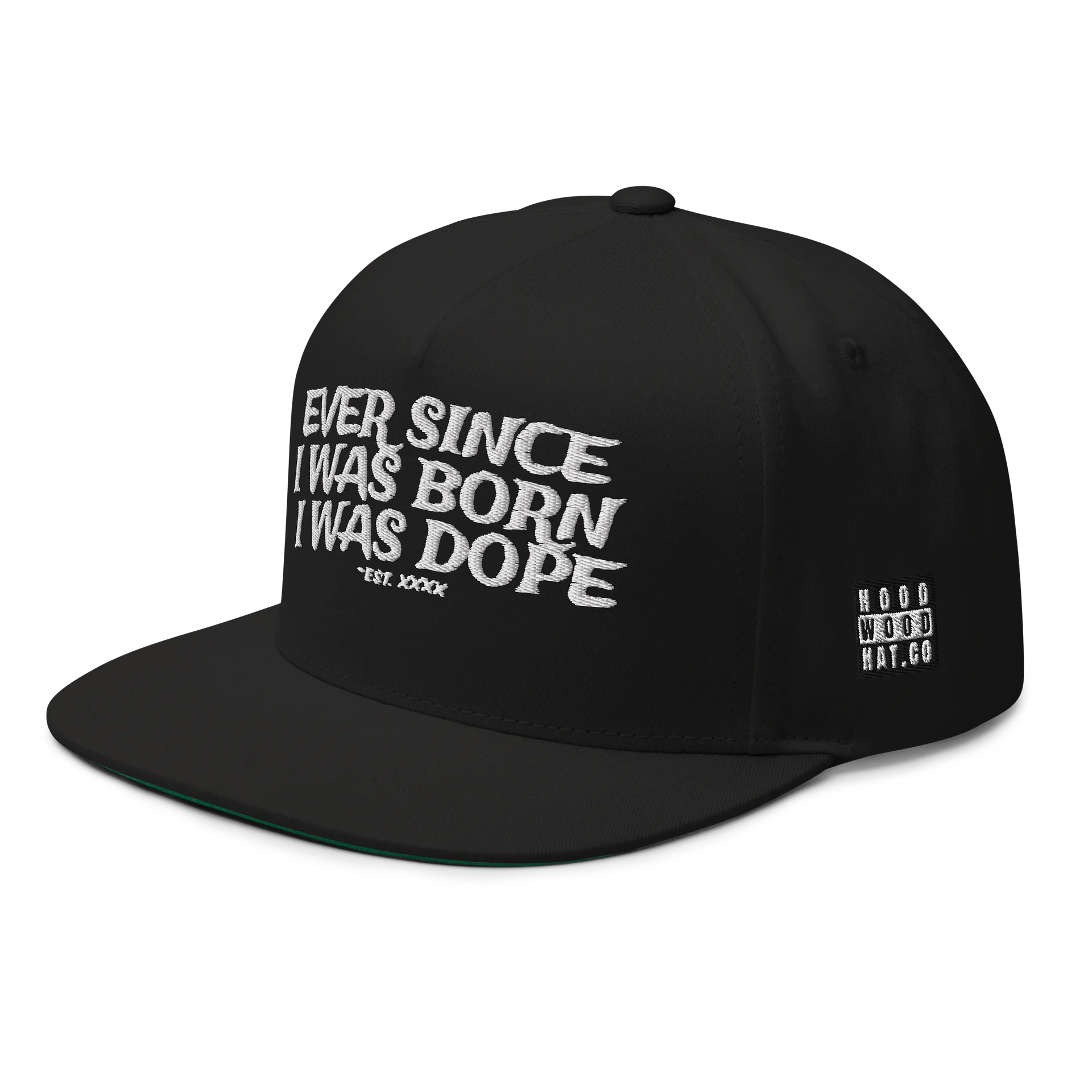 EVER SINCE - Embroidered SnapBack Flatbill product image (6)