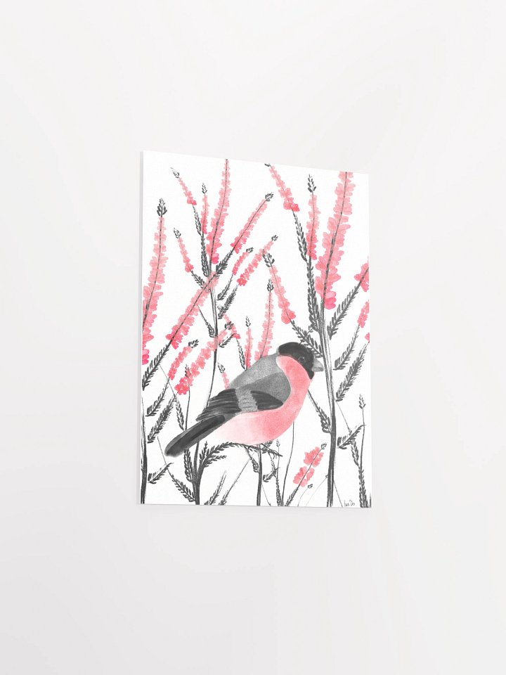 beautiful bullfinch product image (2)