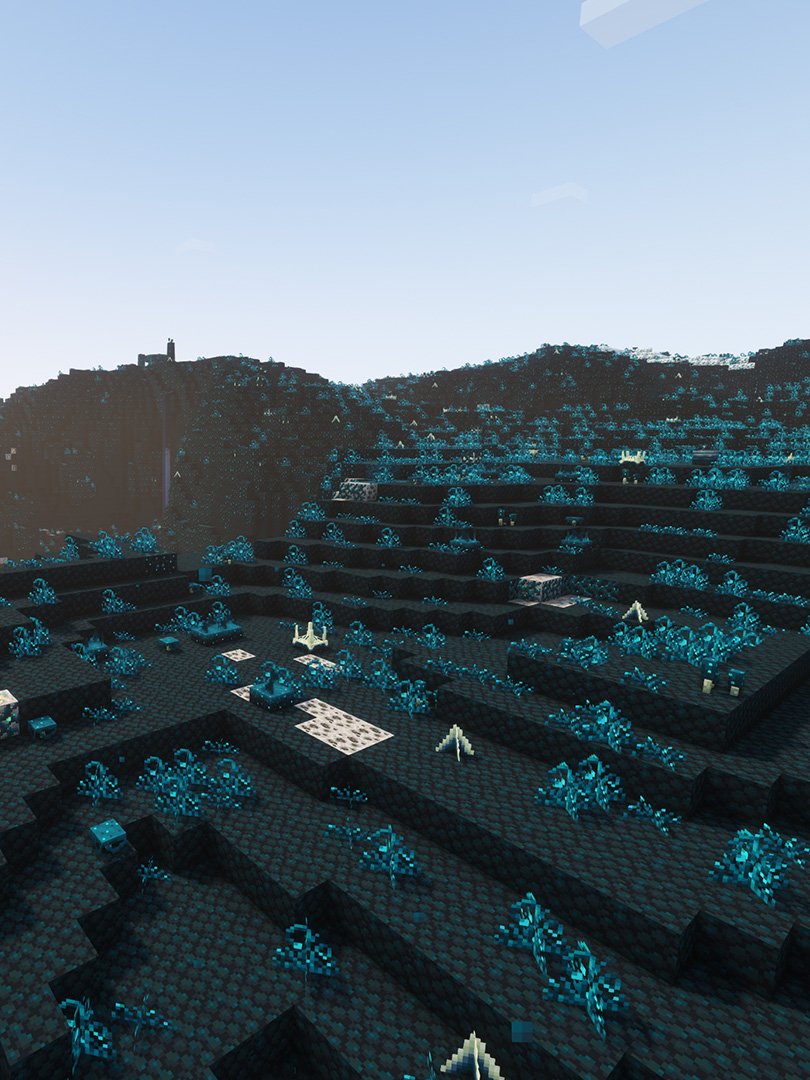 100 Days Sculk World Download product image (3)