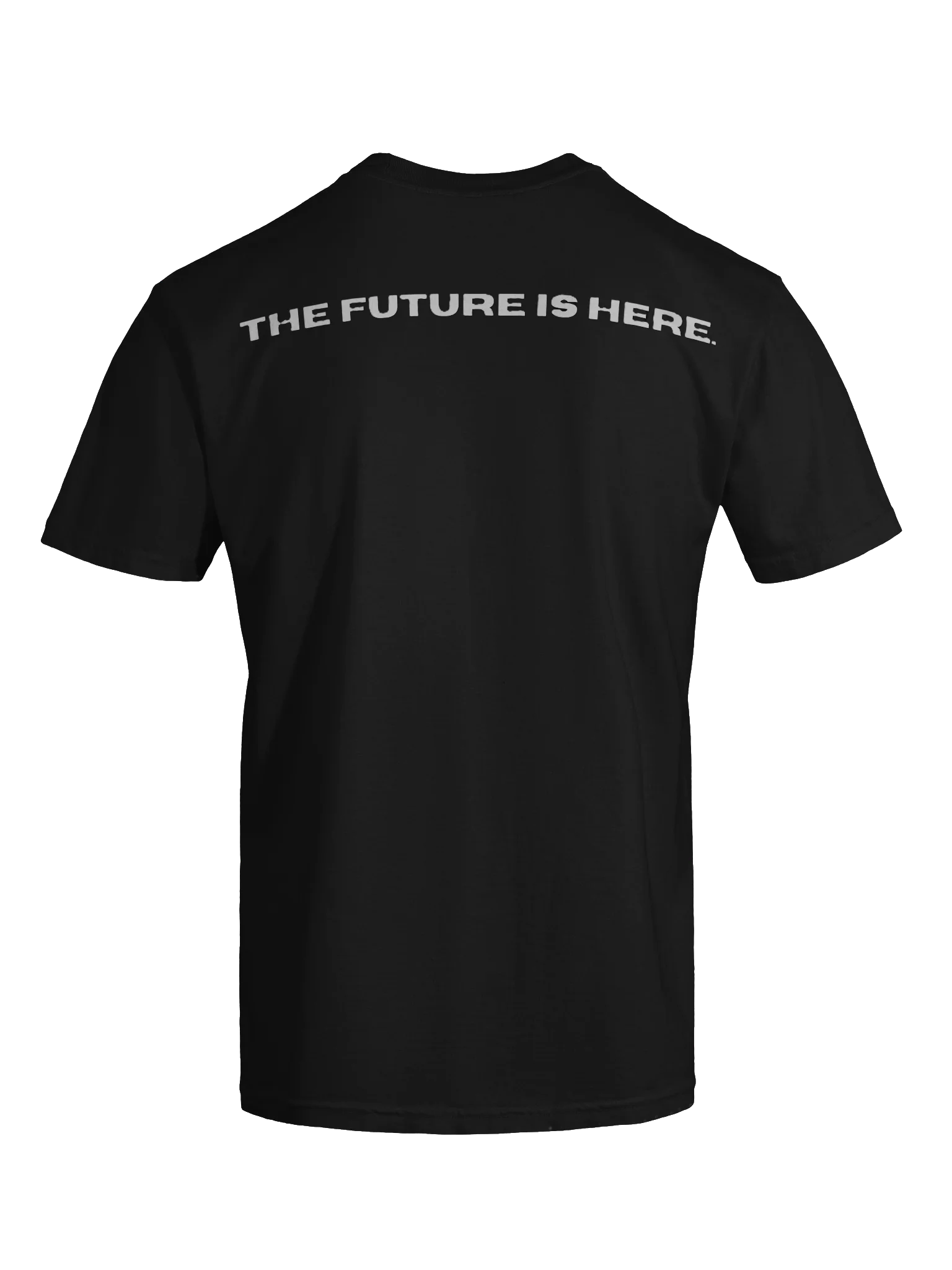 FGTP PREMIUM TEE product image (7)