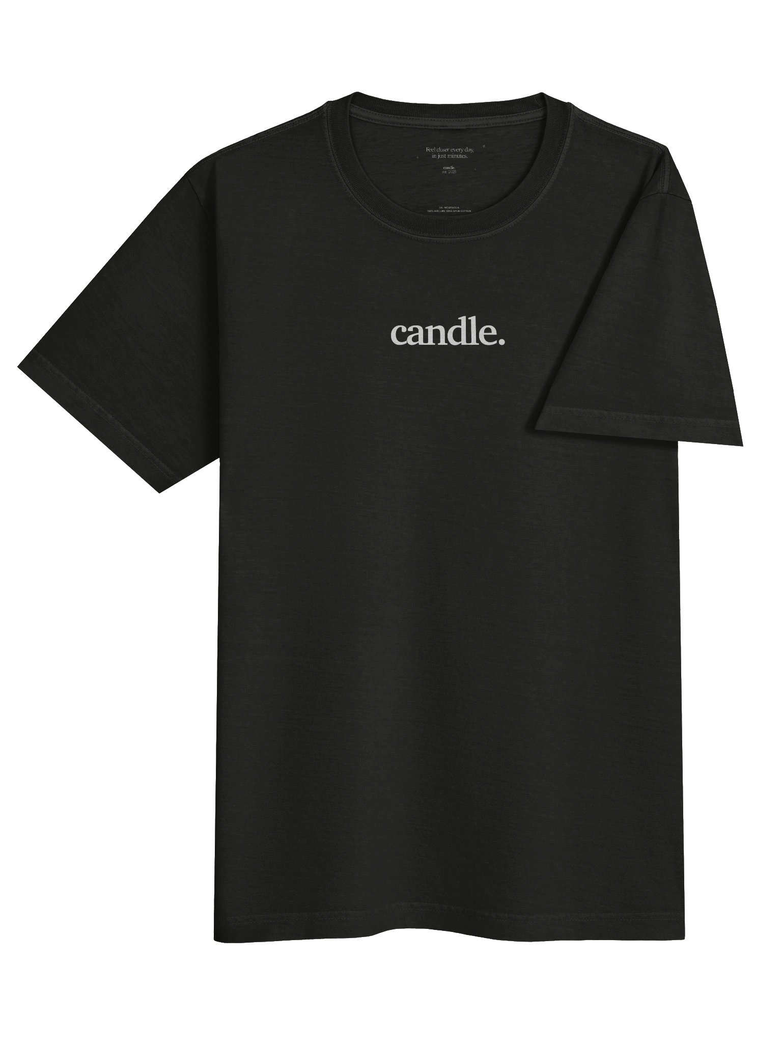 Center Logo Heavy Tee product image (4)