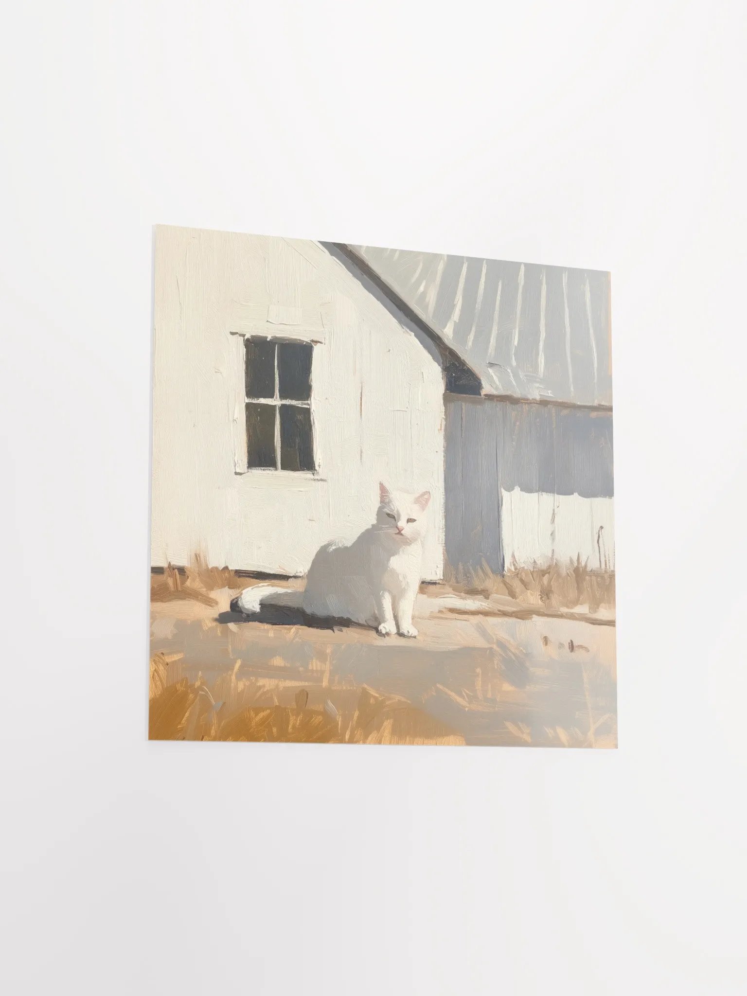 Modern Farmhouse: Sunlit Cat Art Print product image (12)