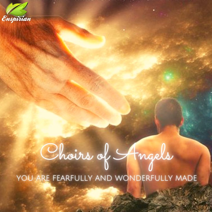 YOU ARE FEARFULLY AND WONDERFULLY MADE product image (1)