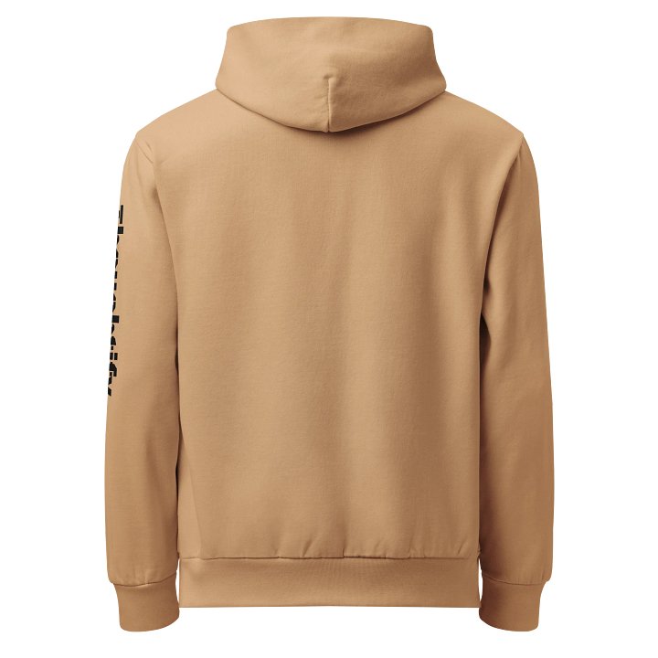 Right 2 Bear Arms Hoodie product image (3)