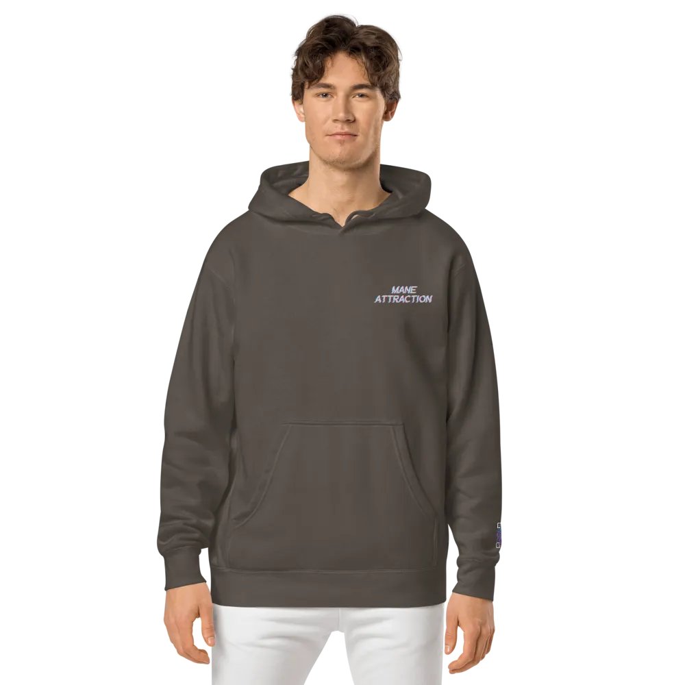 MA Embroidered Hoodie product image (3)