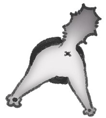 https://storage.googleapis.com/popshopprod-shop-renderer-creators-assets/resources/723b20ba-4943-4cdc-859c-978827e69f34/28262317d429df239ff75a0e736351f7_0754f4373e89.png