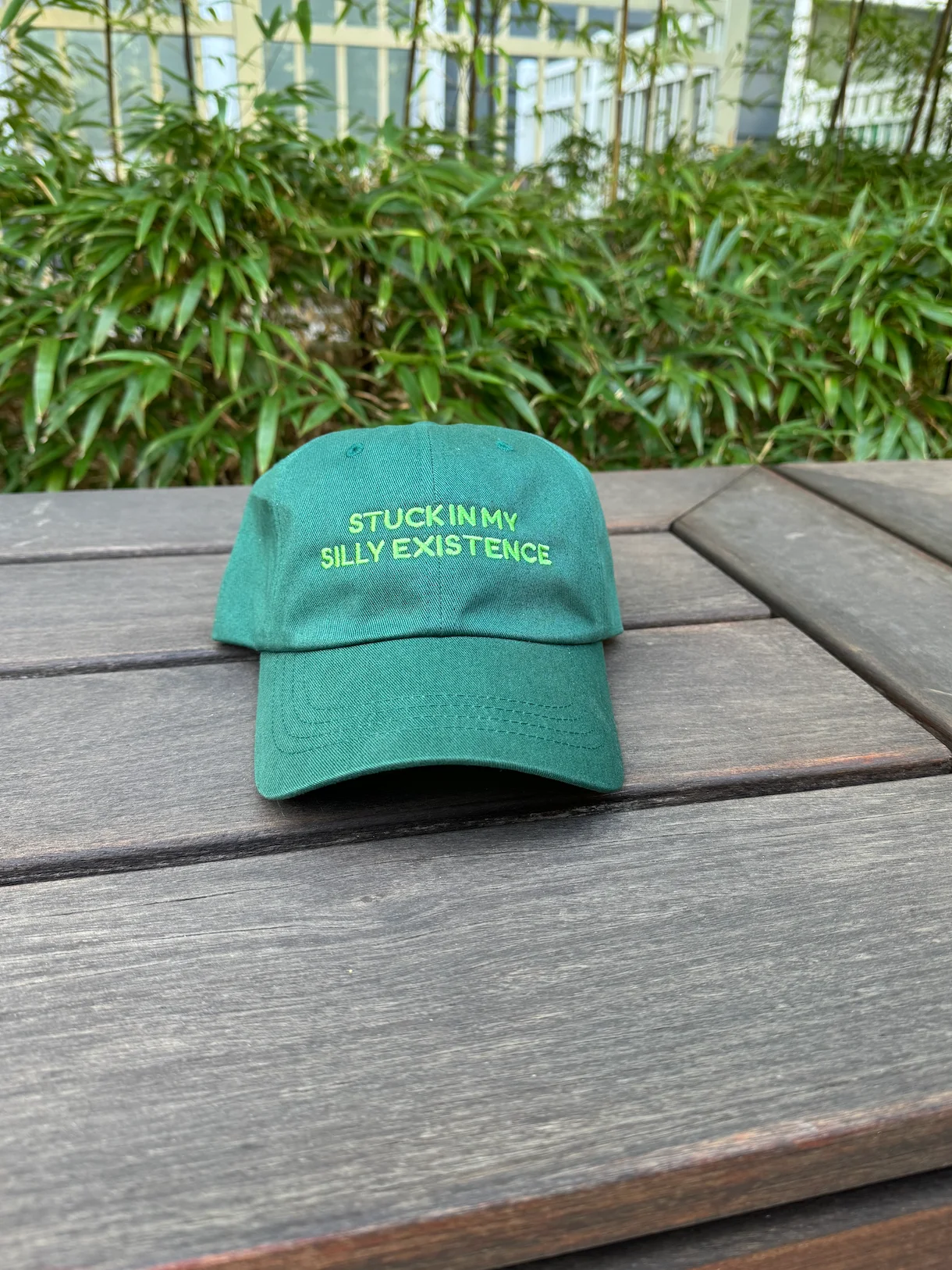 Stuck in my silly existence hat product image (12)