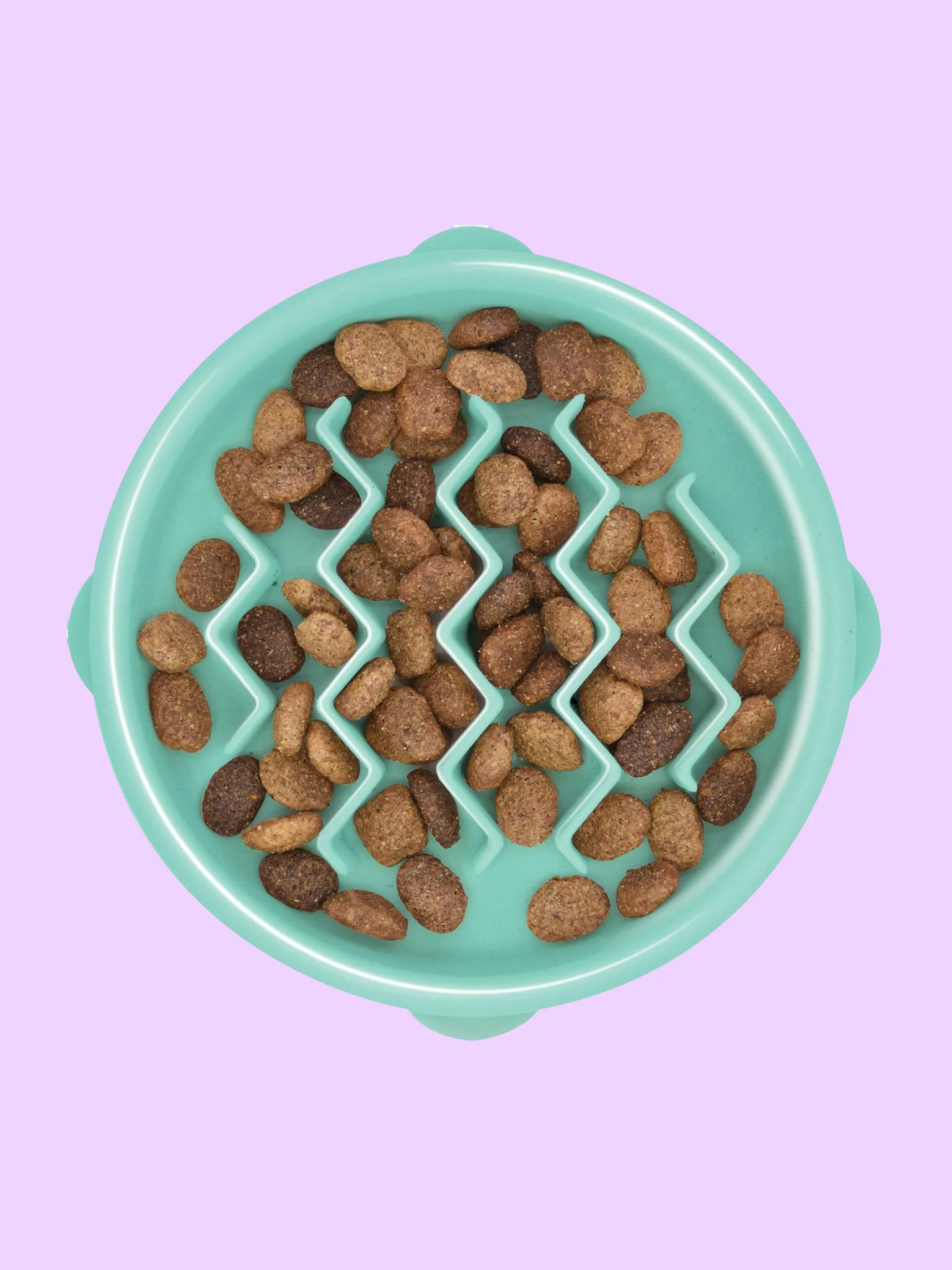 Slow Feeder Bowl for Dogs & Cats product image (5)