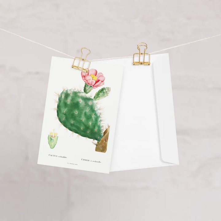 Blooming Desert Cactus Greeting Card product image (1)