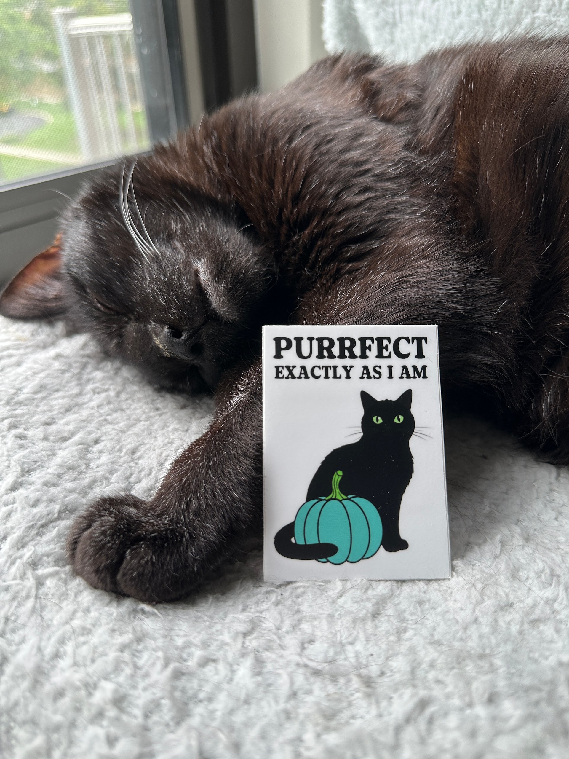 Teal Pumpkin bundle product image (2)