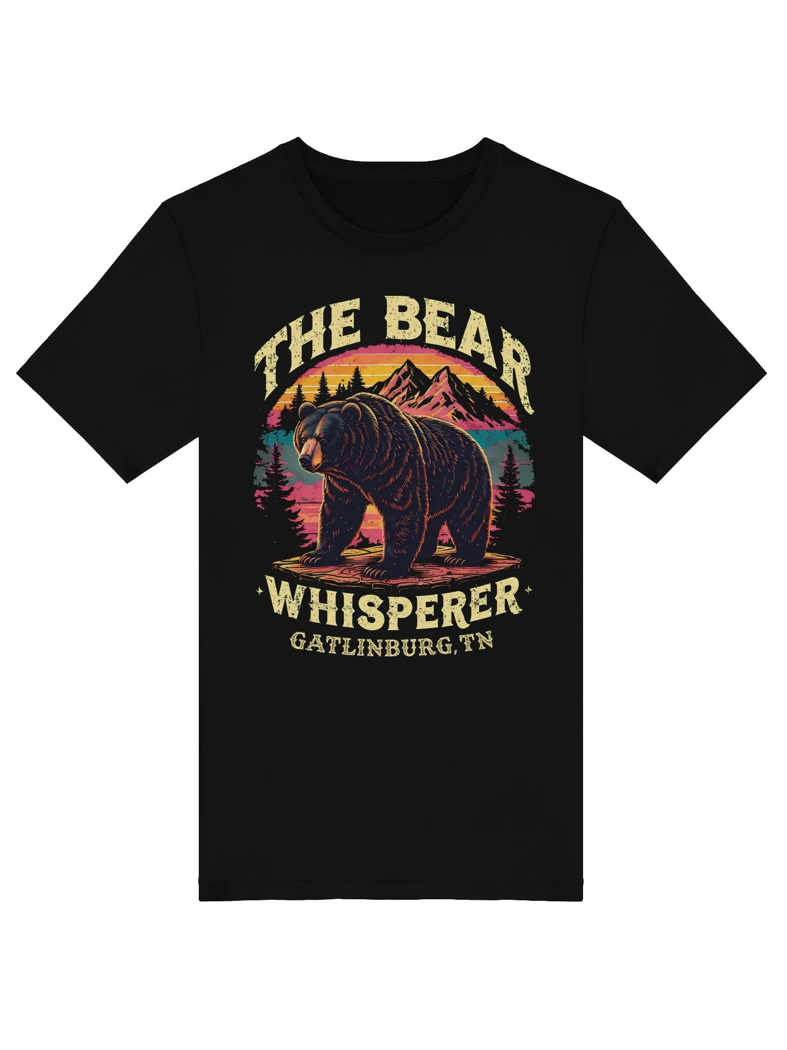 Bear Whisperer Gatlinburg, TN Vintage Tee product image (5)