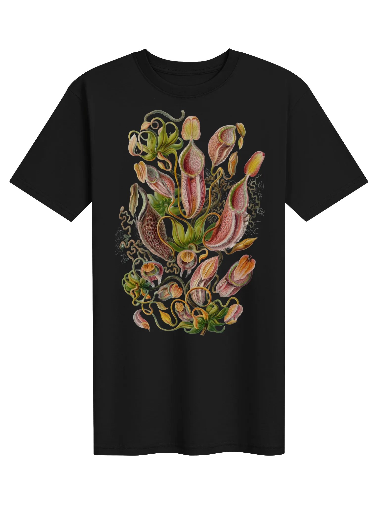 Ernst Haeckel - Nepenthaceae (pitcher plants) product image (1)